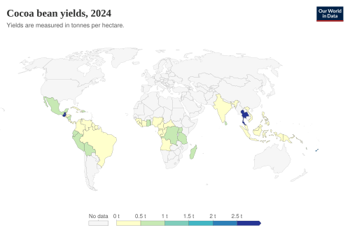 Cocoa bean yields