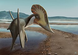 Azhdarchoid pterosaurs such as Kariridraco fed on terrestrial prey