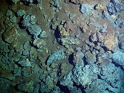Hydrothermal fluids contain dissolved minerals that cool and react with seawater and then precipitate as sediment on the surrounding seabed.