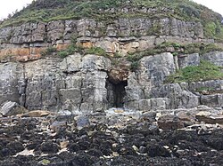 A cliff with pale grey beds of limestone overlain by orange sandstone, above which are more pale grey mudstones and limestones. A large fracture in the limestone is filled by a bulbous extension of the sandstone down into the limestone.