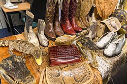 Illegally traded wildlife items seized by HM Revenue and Customs in the United Kingdom