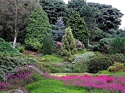 Heather Garden, Ness Botanic Gardens
