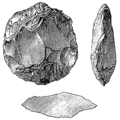 Discoid