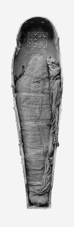 The mummy of Amenhotep III before unwrapping