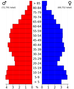 2022 US Census population pyramid for Wright County, from ACS 5-year estimates
