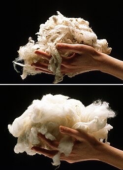 Wool before and after scouring