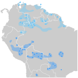 Arawakan languages in South America. The northern Arawakan languages are colored in light blue, southern Arawakan languages in dark blue.