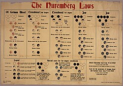 1935 chart, edited with English translations, showing racial classifications under the Nuremberg Laws: German, Mischlinge, and Jew.