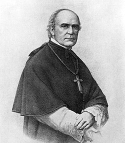 Wilhelm Emmanuel von Ketteler, Bishop 1850–1877