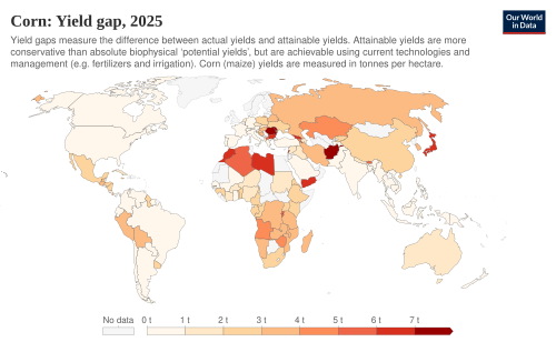 Maize yield gap