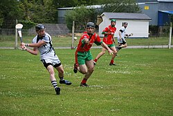 A club hurling match in play