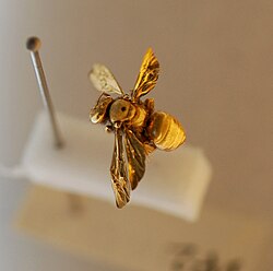 An insect coated in gold for viewing with a scanning electron microscope (SEM)