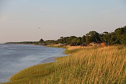 The Gironde estuary is classified as a marine nature park and is part of the Natura 2000 network. The left bank is part of the Médoc regional nature park. With a surface area of 635 km2 (245 sq mi), it is the largest estuary in Europe.