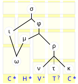 Syllable components as a directed graph. Syllable structure as tree diagram according to several phonologic traditions and theories. syllable (σ), rime (ρ), onset (ω), nucleus (ν), coda (κ), tone (τ), initial (ι), medial (μ), final (φ).