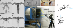 Wind tunnel experiments with different wing configurations