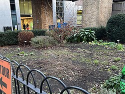 The modern Herb or Physic Garden of TCD, off Pearse St., made in 2011