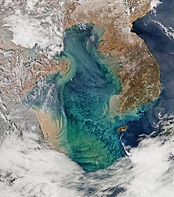 Brown sediment spills out into the Yellow Sea from rivers in eastern China and Korea. The nutrients in the sediment may be responsible for the bloom of phytoplankton seen as blue-green swirls.[2]
