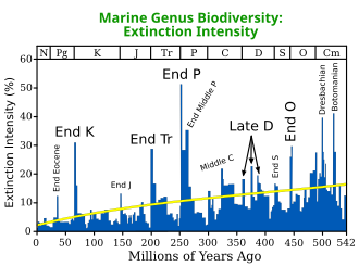 The mass extinction event is marked by 'End Tr'
