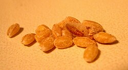 A cocoon found among barleycorns in a commercially available bag of barley. Foods such as seeds, nuts and vegetables need to be checked to avoid eating insects.