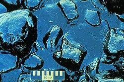 Oil pooled on rocks on the shore of Prince William Sound after the 1989 Exxon Valdez oil spill.