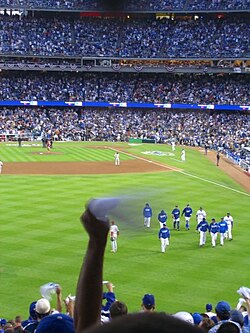 A fan waves a rally towel during the 2008 National League Championship Series (NLCS).