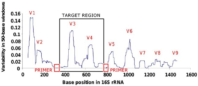 A schematic view of primers and target region, demonstrated on 16S rRNA gene in Pseudomonas. As primers, one typically selects short conserved sequences with low variability, which can thus amplify most or all species in the chosen target group. The primers are used to amplify a highly variable target region in between the two primers, which is then used for species discrimination. Modified from »Variable Copy Number, Intra-Genomic Heterogeneities and Lateral Transfers of the 16S rRNA Gene in Pseudomonas« by Bodilis, Josselin; Nsigue-Meilo, Sandrine; Besaury, Ludovic; Quillet, Laurent, used under CC BY, available from: https://www.researchgate.net/figure/Hypervariable-regions-within-the-16S-rRNA-gene-in-Pseudomonas-The-plotted-line-reflects_fig2_224832532.