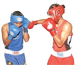 Boxer (left) using hook cover