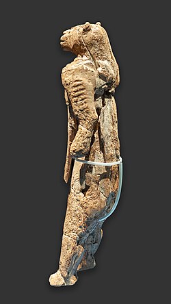 Side view showing the transverse gouges on the left arm