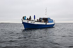 Seal watching near Malusi Islands in Estonia