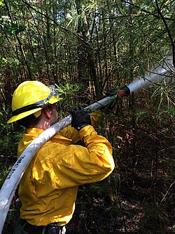 Wildland firefighter working a brush fire in Hopkinton, New Hampshire, US