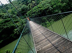 A hanging bridge in ecotourism area of Thenmala, Kerala in India - India's first planned ecotourism destination.