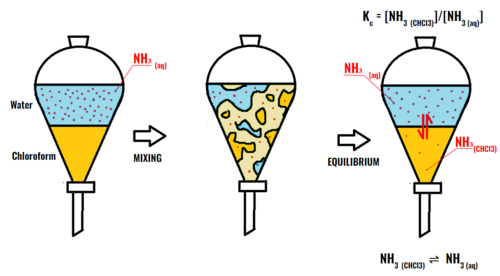 Process of establishing partition equilibrium in a separatory funnel for ammonia in water and chloroform.