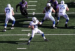 The Indianapolis Colts of the National Football League have been based in the state since 1984.