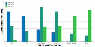 Hypothetical flower visitation by various pollinators. Overlap exists, though some species are exclusive pollinators illustrating how pollinator isolation can be detected in natural or laboratory settings.
