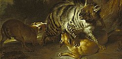 Hyena (1739) by Jean-Baptiste Oudry.