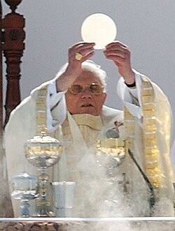 Pope Benedict XVI celebrates the Eucharist at the canonization of Frei Galvão in São Paulo, Brazil on 11 May 2007.