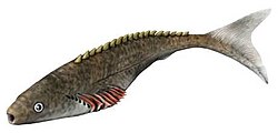 Life reconstruction of Lasanius problematicus