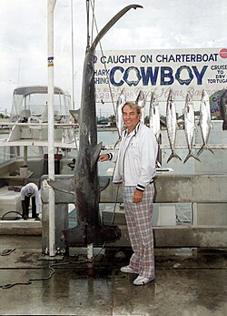 A great hammerhead caught by a sport fisherman. Human exploitation now threatens the survival of this species. Overfishing is the primary driver of shark population declines, which have fallen over 71% since 1970.[102][103]