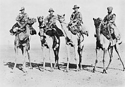 Australian, English, New Zealand and Indian cameliers in Palestine.