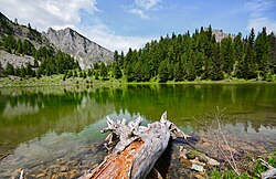 Bjeshkët e Nemuna National Park is home to a wide range of flora and fauna species.
