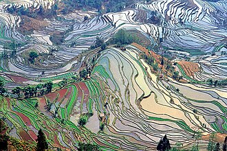 Honghe Hani Rice Terraces in Yunnan