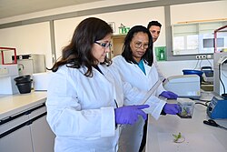 Latin American IAEA Fellows at the Regional Training Course on Mutation Breeding and Efficiency Enhancing Techniques for Resistance to Banana Fusarium Wilt TR4, 2022