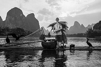 Chinese cormorant fisherman in Yangshuo