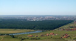 Green Forest and Dumbrăvița Lake