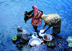 Women at a village pond in Matlab, Bangladesh, washing utensils and vegetables. The woman on the right is putting a sari filter onto a water-collecting pot (or kalash) to filter water for drinking.