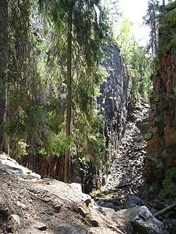 An image from a canyon in the forested Småland