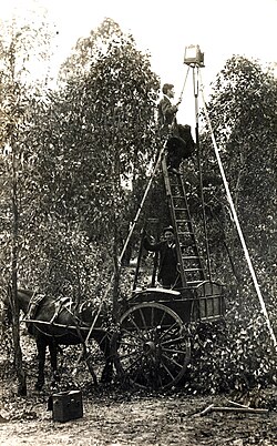 Bird photography, New South Wales, June 1921 (A. H. Chisholm)