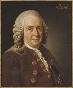 Carl Linnaeus's remains constitute the type specimen for Homo sapiens.