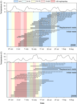 Differences in an Arctic shorebird species' phenology between a normal year and a hotter year.[106]