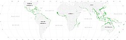 Mangrove forests of the world in 2000